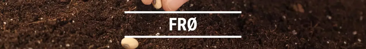 FRØ